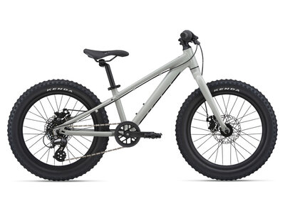 2022 GIANT STP 20