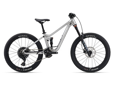  2025 GIANT Faith  24'' Raw Aluminum
