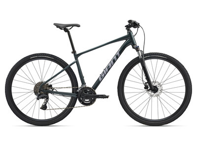  2025 GIANT Roam 2