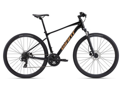 2025 GIANT Roam Disc 4