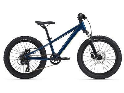 2025 GIANT STP 20 FS