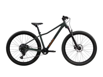 2025 NORCO Charger S26 Gris