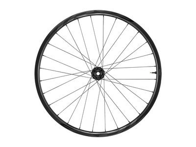 GIANT Roue AV TRX 29 2 Boost