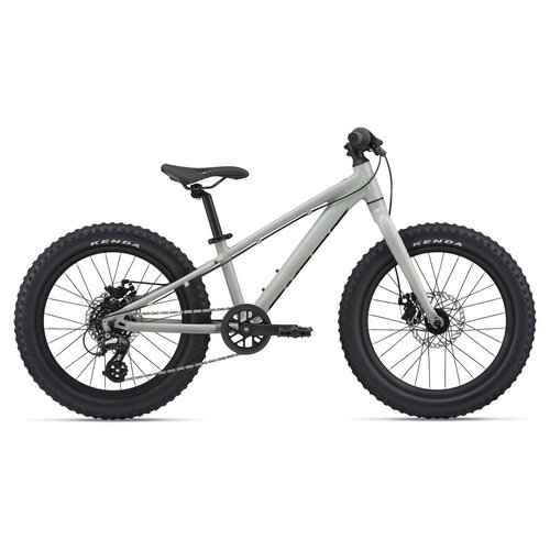 GIANT 2022 GIANT STP 20