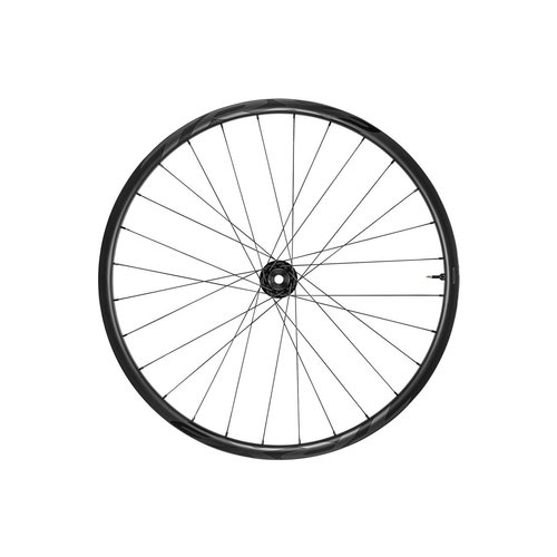 GIANT GIANT Roue Arr TRX 29 2 Boost