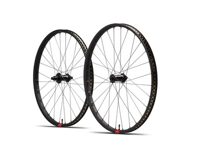 RESERVE Roues 30 SL 29 DT350 110 XD 6b RESERVE Roues 30 SL 29 DT350 110 XD 6b