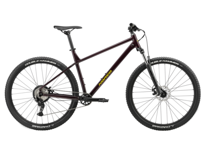 2025 NORCO Storm 2025 NORCO Storm